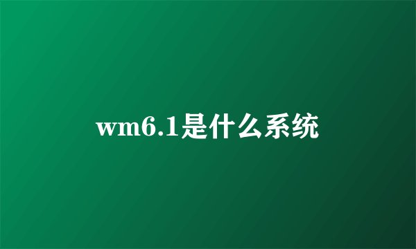 wm6.1是什么系统