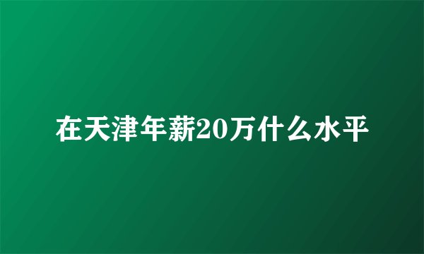 在天津年薪20万什么水平