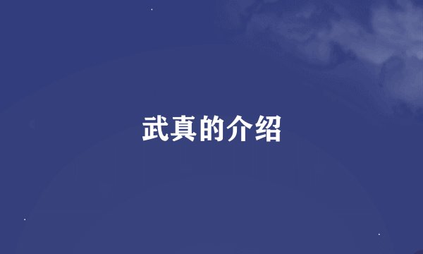 武真的介绍