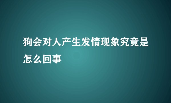 狗会对人产生发情现象究竟是怎么回事