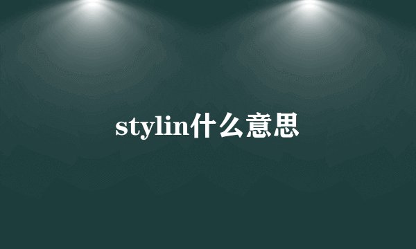 stylin什么意思