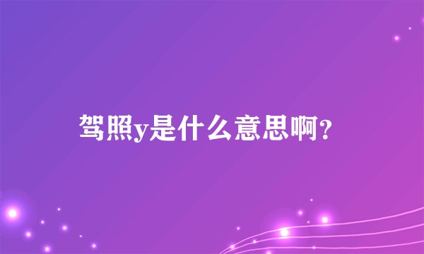 驾照y是什么意思啊？