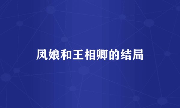 凤娘和王相卿的结局