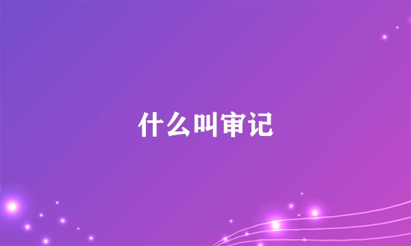 什么叫审记