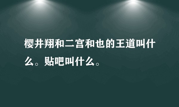 樱井翔和二宫和也的王道叫什么。贴吧叫什么。