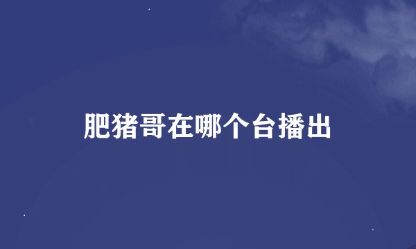 肥猪哥在哪个台播出
