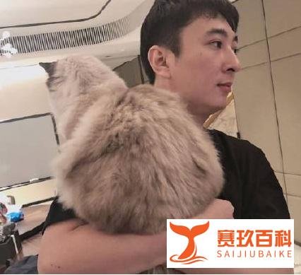 解除限消令！王思聪在京被执行和解 终于等到王思聪还钱了