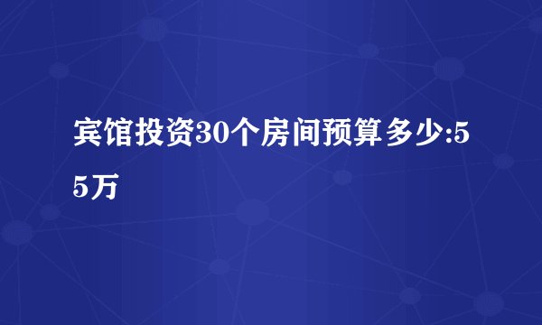 宾馆投资30个房间预算多少:55万