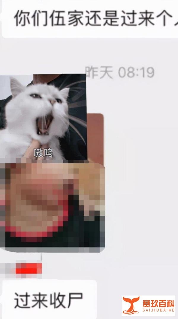 妻女从高楼坠亡，丈夫淡定拍照发家属群：你们过来收尸