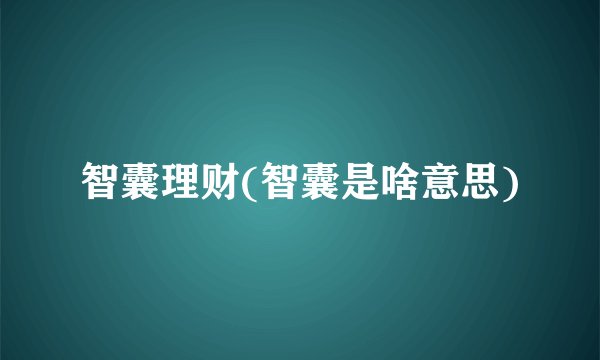 智囊理财(智囊是啥意思)