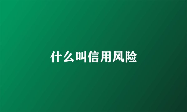 什么叫信用风险
