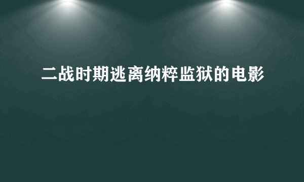 二战时期逃离纳粹监狱的电影