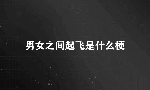 男女之间起飞是什么梗