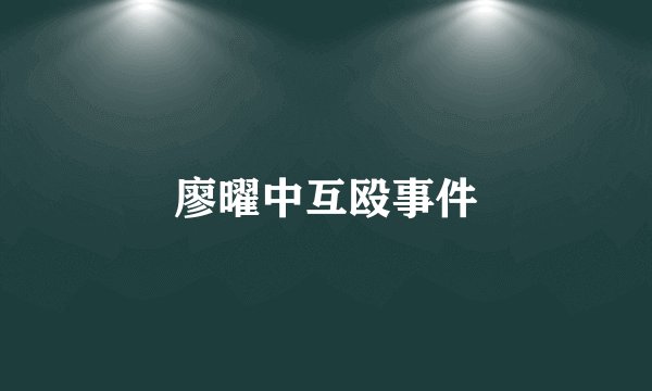 廖曜中互殴事件