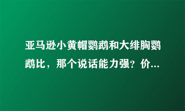 亚马逊小黄帽鹦鹉和大绯胸鹦鹉比，那个说话能力强？价格多少？是小黄帽不是大黄帽喔！！！