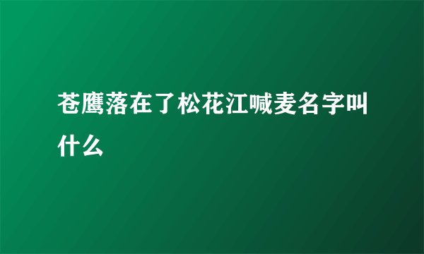 苍鹰落在了松花江喊麦名字叫什么