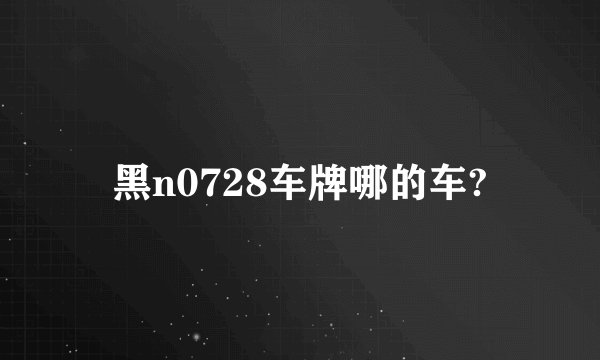 黑n0728车牌哪的车?