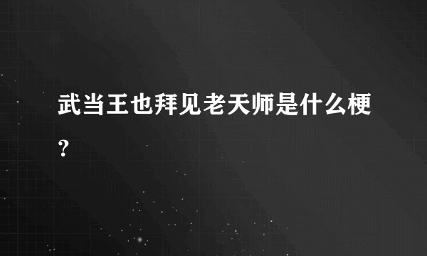武当王也拜见老天师是什么梗？