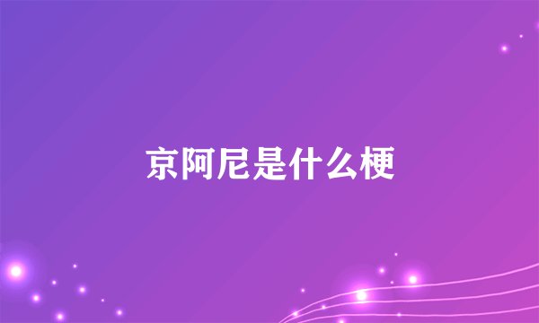 京阿尼是什么梗