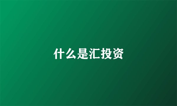 什么是汇投资