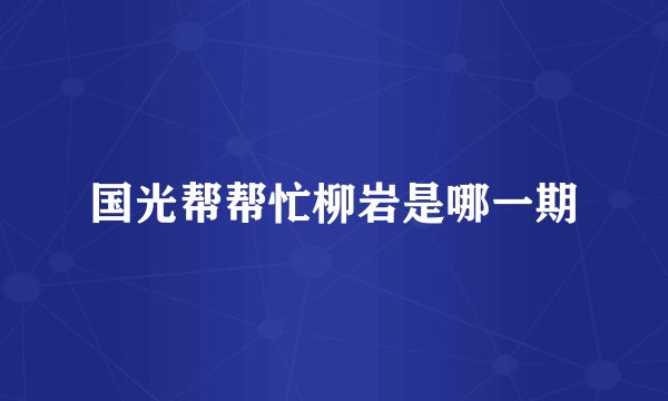 国光帮帮忙柳岩是哪一期