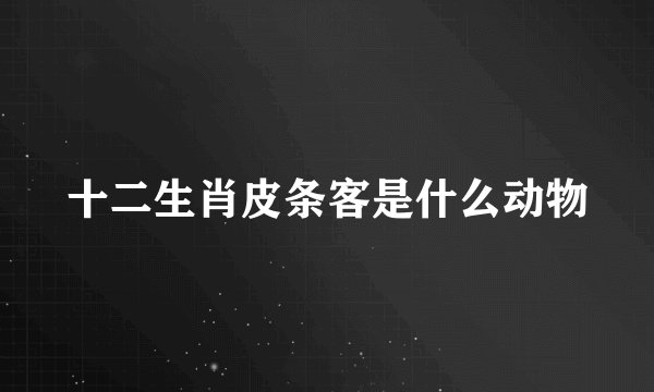 十二生肖皮条客是什么动物
