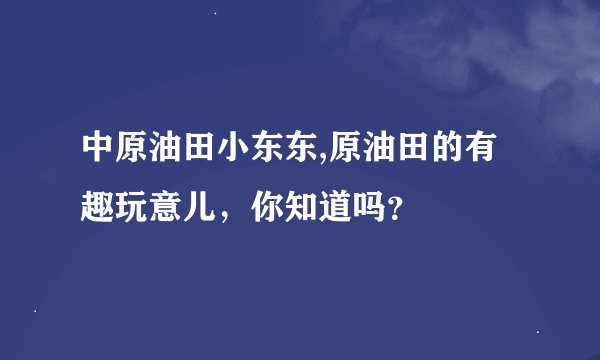 中原油田小东东,原油田的有趣玩意儿，你知道吗？