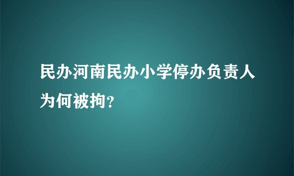 民办河南民办小学停办负责人为何被拘？