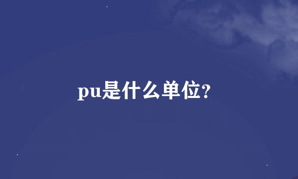 pu是什么单位？