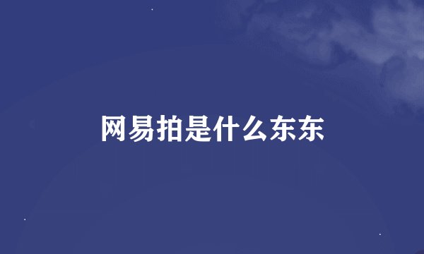 网易拍是什么东东