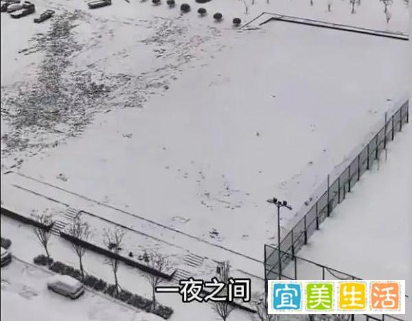 雪又背锅!河南信阳“体育馆”被积雪压塌:豆腐渣工程应彻查!