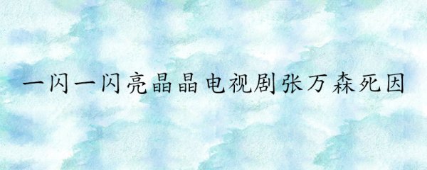 一闪一闪亮晶晶里张万森的死因