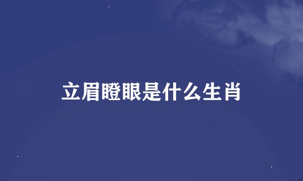 立眉瞪眼是什么生肖