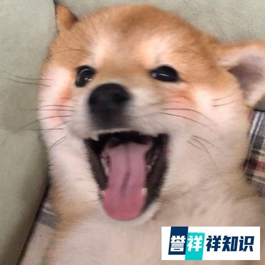 怎么用信用卡优惠喝星巴克
