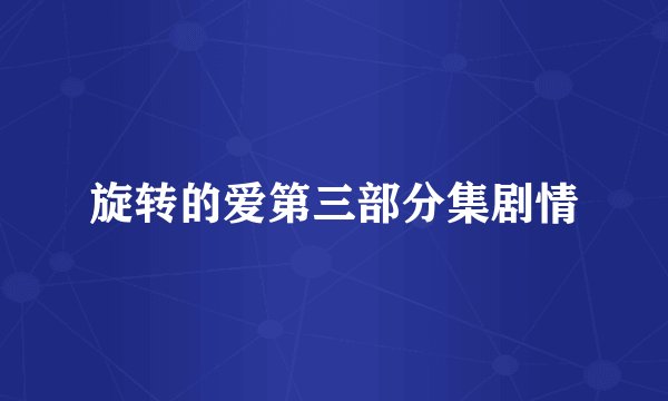 旋转的爱第三部分集剧情