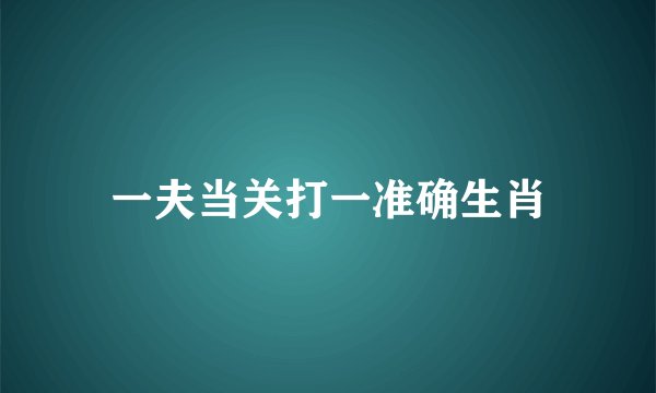 一夫当关打一准确生肖