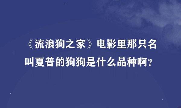 《流浪狗之家》电影里那只名叫夏普的狗狗是什么品种啊？