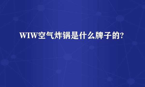 WIW空气炸锅是什么牌子的?