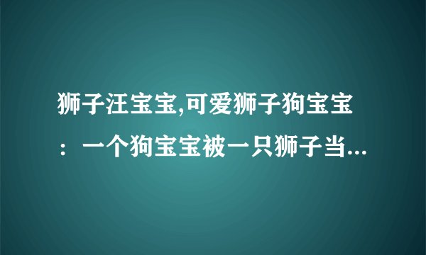 狮子汪宝宝,可爱狮子狗宝宝：一个狗宝宝被一只狮子当成它的孩子养大