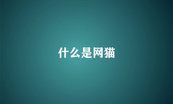 什么是网猫