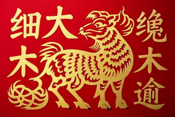 细大不逾打一生肖