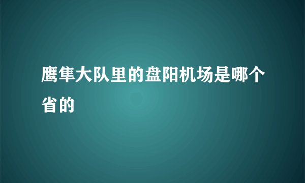 鹰隼大队里的盘阳机场是哪个省的