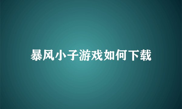 暴风小子游戏如何下载