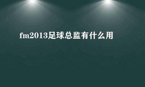 fm2013足球总监有什么用