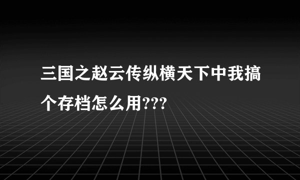 三国之赵云传纵横天下中我搞个存档怎么用???