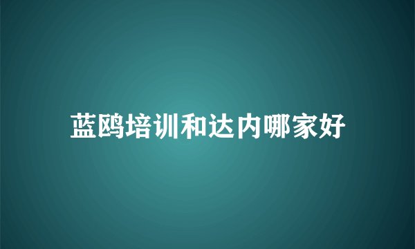 蓝鸥培训和达内哪家好