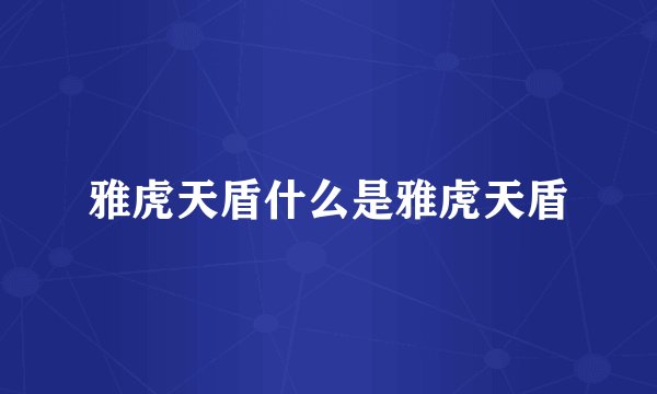 雅虎天盾什么是雅虎天盾