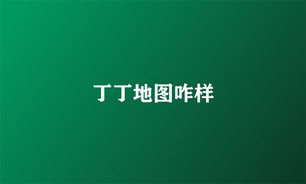 丁丁地图咋样