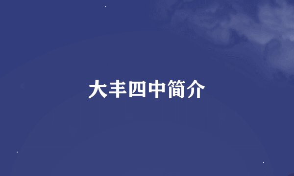 大丰四中简介