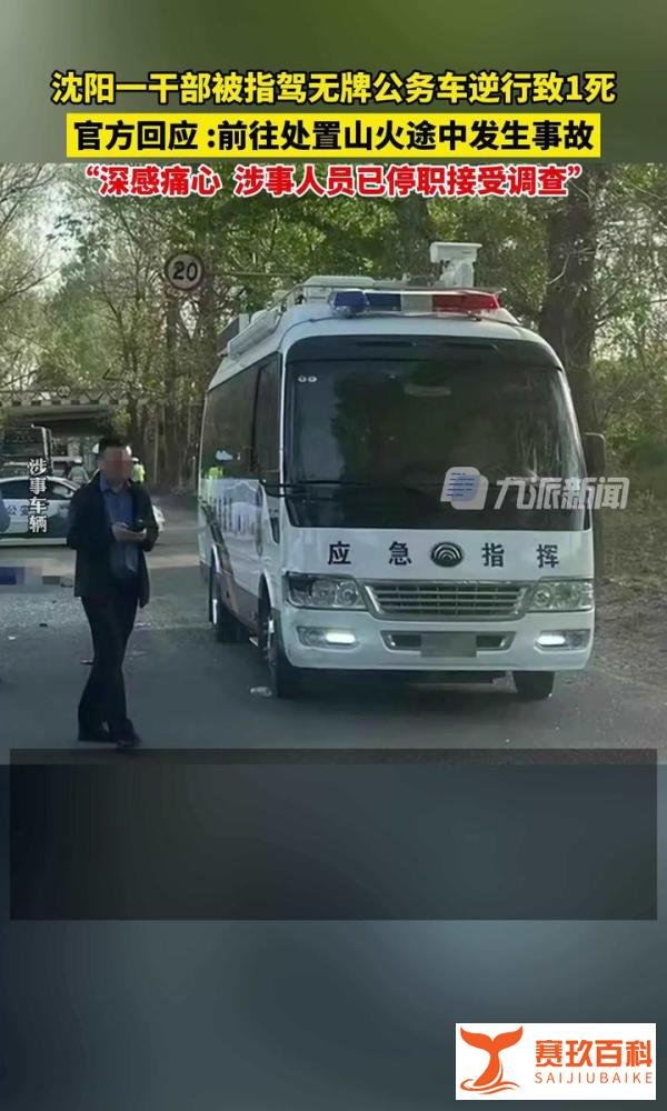 沈阳干部驾车处置山火致1死，已停职接受调查